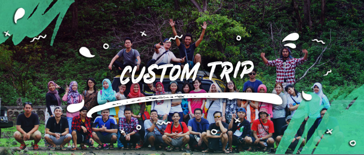 Custom Trip