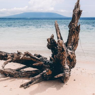 Inilah Hal Yang Membuat Paket Wisata Pulau Tabuhan Banyuwangi Tepat Untuk Anda