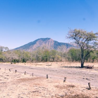 Menjelajahi Wisata Taman Nasional Baluran Di Banyuwangi
