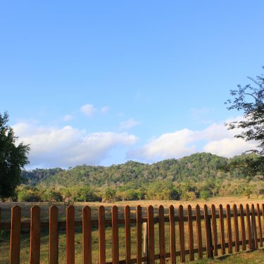 Paket Wisata Banyuwangi Alas Purwo