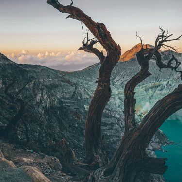 PAKET WISATA BANYUWANGI | Djawatan Pulau Merah Kawah Ijen Menjangan Tabuhan Baluran 4 Hari