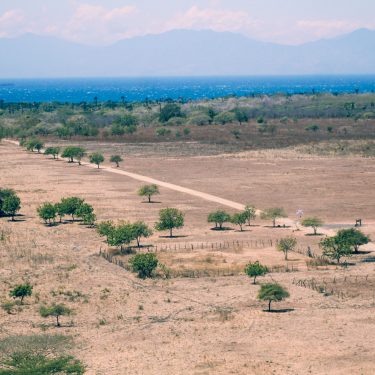 Mengunjungi Wisata Banyuwangi Taman Nasional Baluran