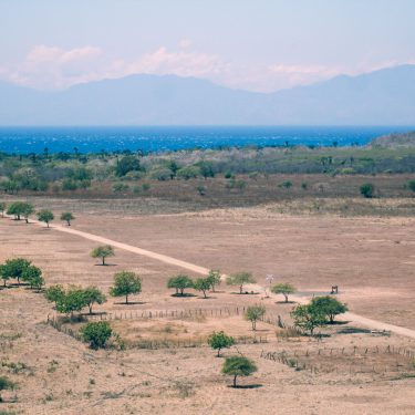Titik Terindah Taman Baluran Banyuwangi