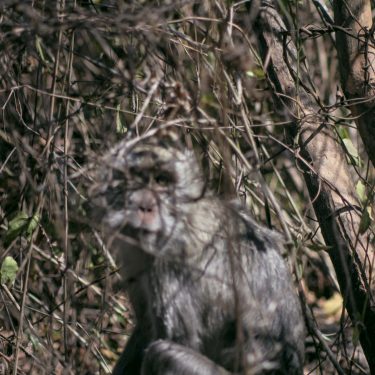 6 Spot Foto Yang Wajib Dicoba Saat Berkunjung Ke Tempat Wisata Baluran Banyuwangi