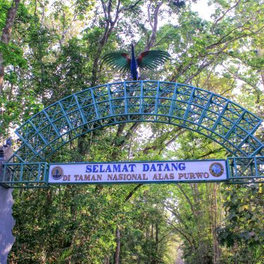 Paket Wisata Alas Purwo Banyuwangi