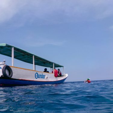 Paket Wisata Menjangan Dari Banyuwangi