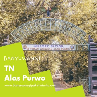 Daya Tarik Wisata Alam Taman Nasional Alas Purwo Banyuwangi