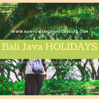 Mengenal Lebih Banyak Wisata Banyuwangi Dan Paket Wisata Banyuwangi