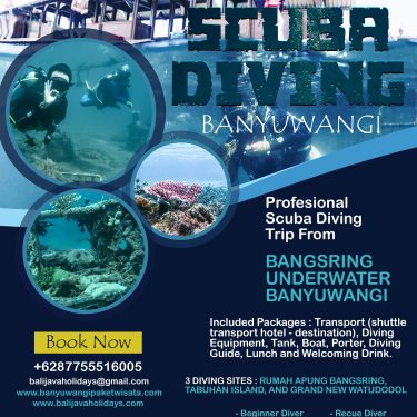 Tips Memilih Paket Scuba Diving Di Banyuwangi Jawa Timur