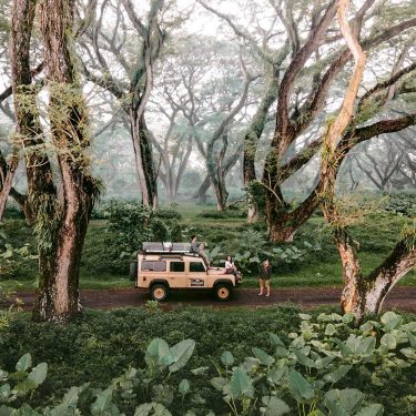 Berfoto Di Antara Pepohonan Trembesi Yang Instagramable Di De Djawatan