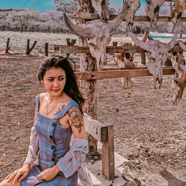 Taman Nasional Baluran Sebagai Tempat Wisata Terbaik Di Jawa Timur