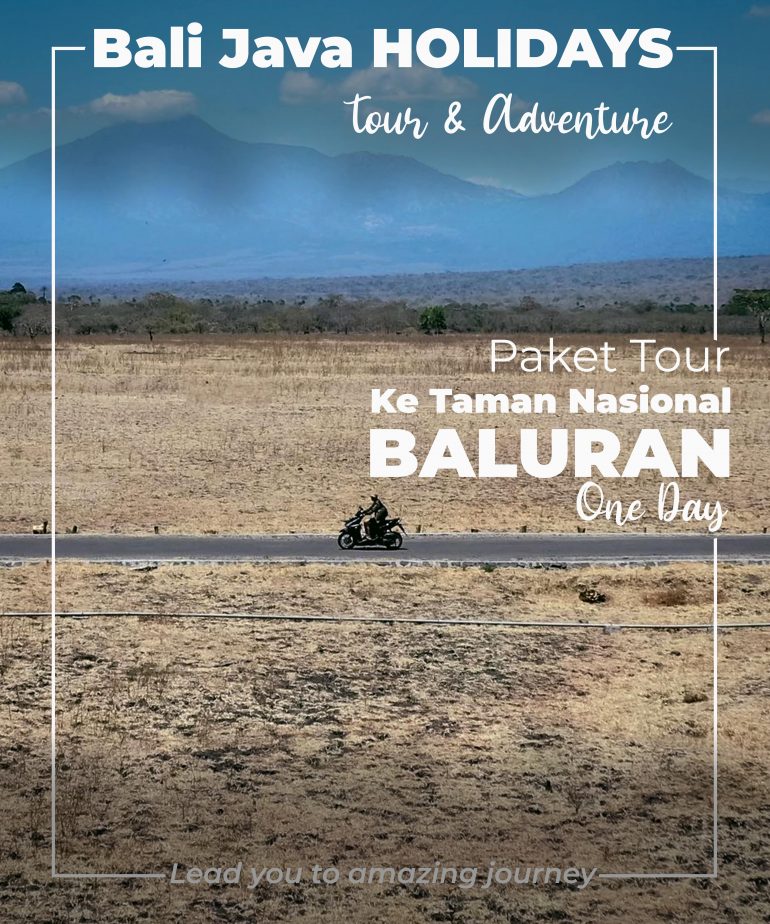 Paket Tour ke taman nasional baluran