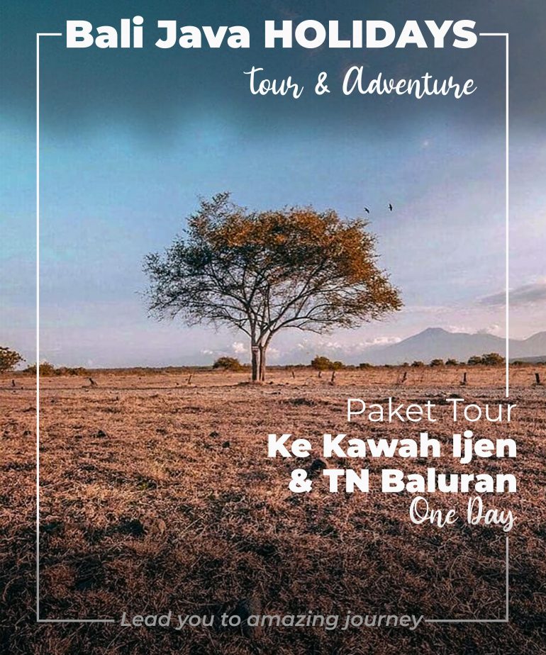 Paket Tour Kawah Ijen & Baluran