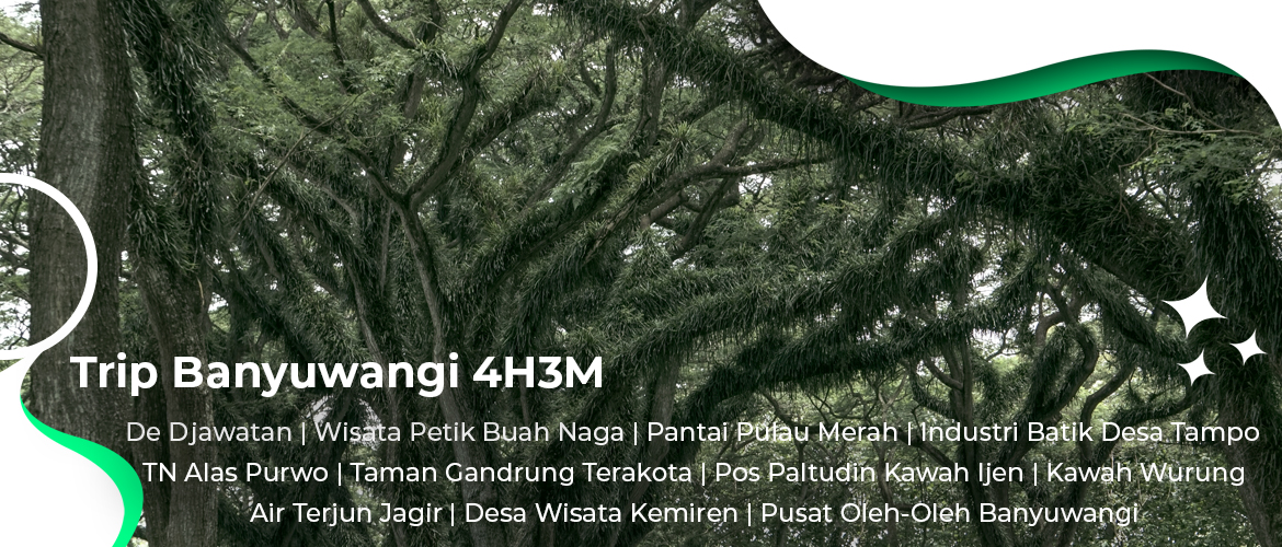Trip Djawatan Pulau Merah Alas Purwo Kawah Wurung Desa Kemiren 4H3M