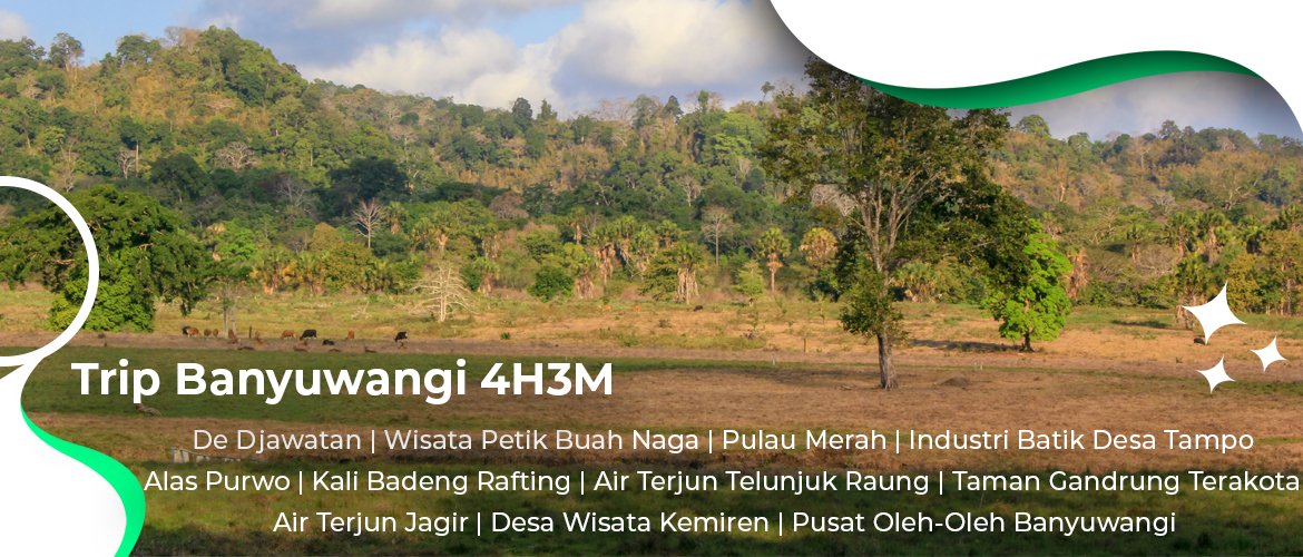 Trip Djawatan Pulau Merah Alas Purwo Rafting Desa Kemiren 4H3M