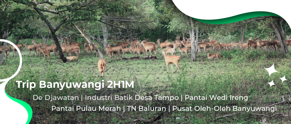 Trip Wedi Ireng Pulau Merah Baluran 2H1M