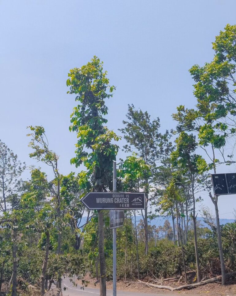Penunjuk jalan