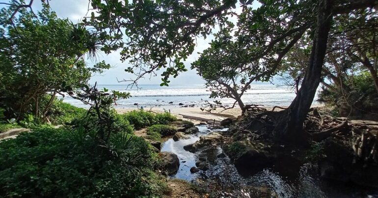 Air tawar bertemu air laut di Pantai Pancur