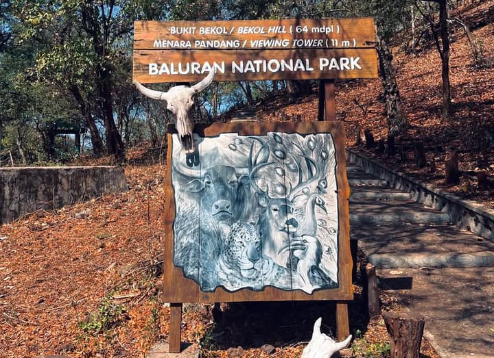 paket wisata taman nasional baluran