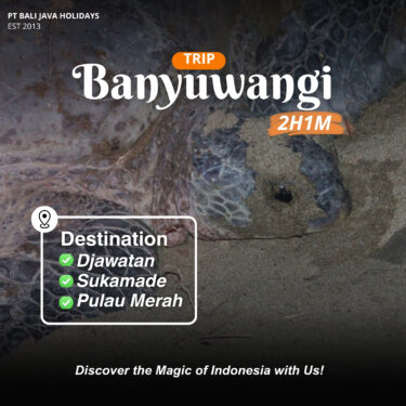 Trip Banyuwangi 2 Hari 1 Malam Ke Djawatan Sukamade Pulau Merah