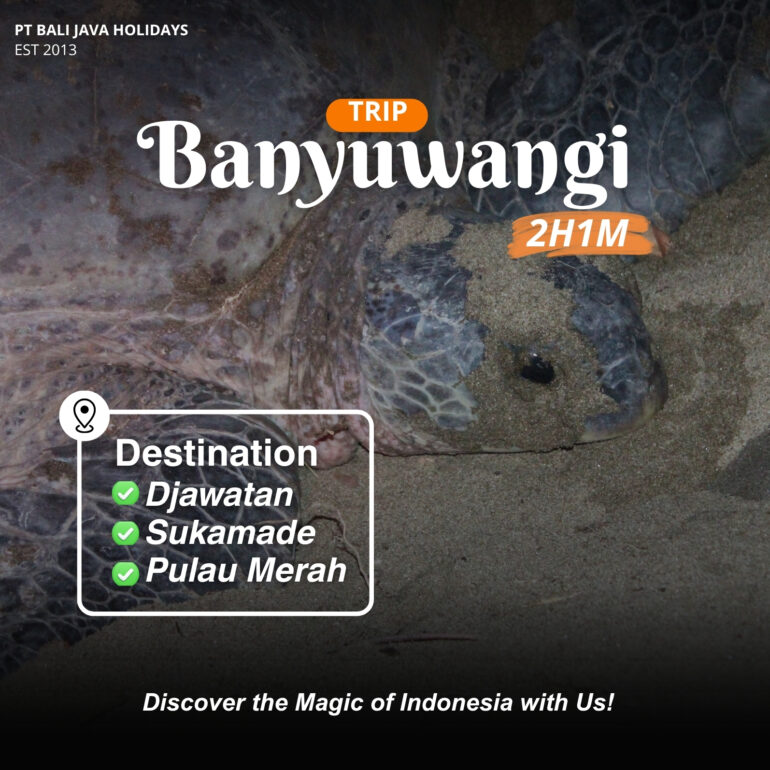 Trip Banyuwangi 2 Hari 1 Malam ke Djawatan Sukamade Pulau Merah