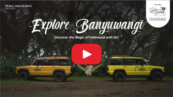 About Banyuwangi Paket Wisata