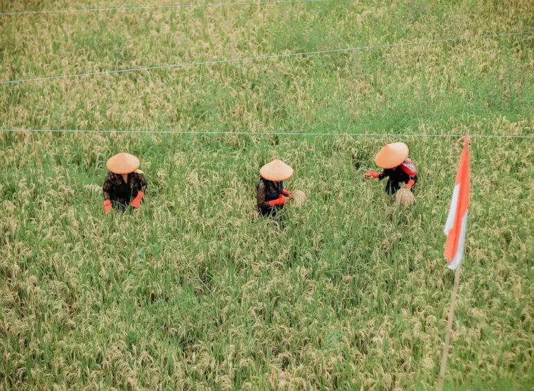 Suku Osing dan budaya Banyuwangi
